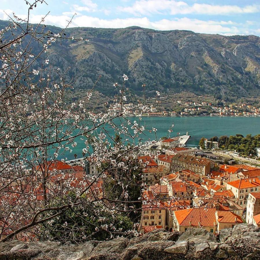 Old Town Kotor Square Apartment Exterior foto